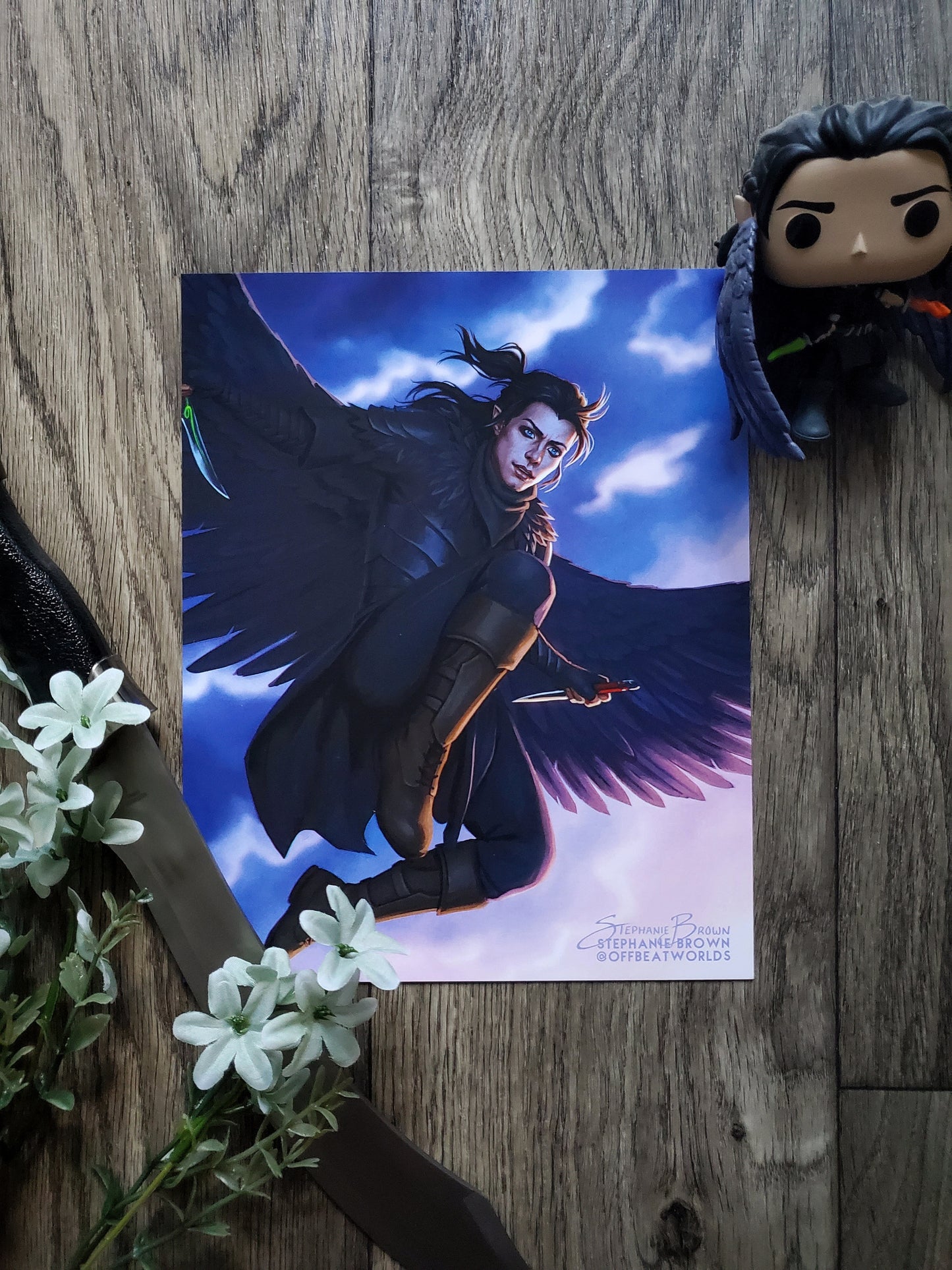 Stealth of the Raven - 8x10 Print